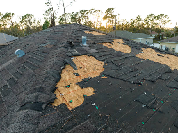 Best Asphalt Shingle Roofing  in Allison Rk, PA